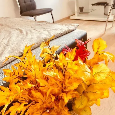 Feel The Colors Of Beautiful - Clear Grey * Koper