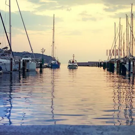 Feel The Colors Of Beautiful - Clear Grey * Koper